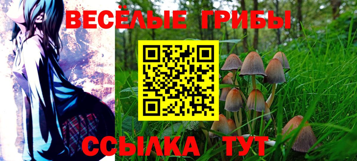 Галлюциногенные грибы прущие грибы  Вход с VPN  Моздок 